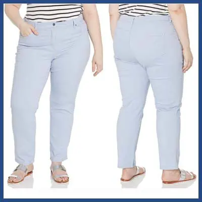 GLORIA VAIVDERI High Rise Jeans For Plus Size An Apple Shape
