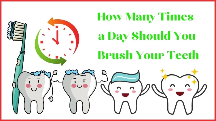 How Many Times  a Day Should You  Brush Your Teeth