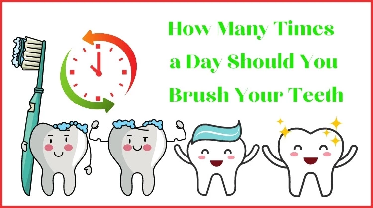 how-many-times-a-day-should-you-brush-your-teeth-for-bright-shiny