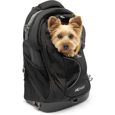 Kurgo Dog Carrier Backpack