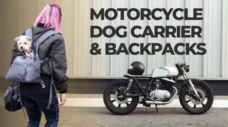 Motorcycle Dog Carrier and backpack